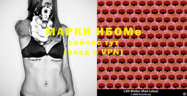 ГАЛЛЮЦИНОГЕННЫЕ ГРИБЫ Алексеевка
