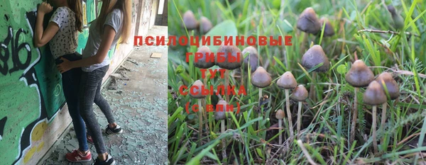 марихуана Саяногорск