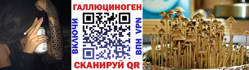 Галлюциногенные грибы ЛСД Коряжма