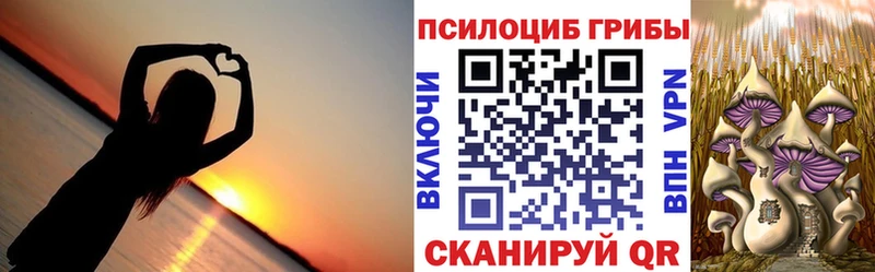 Псилоцибиновые грибы Psilocybine cubensis  цены   Коряжма 