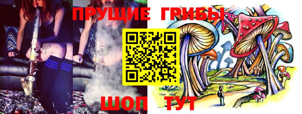 Псилоцибиновые грибы Magic Shrooms  Вход с VPN  купить наркоту  Коряжма 